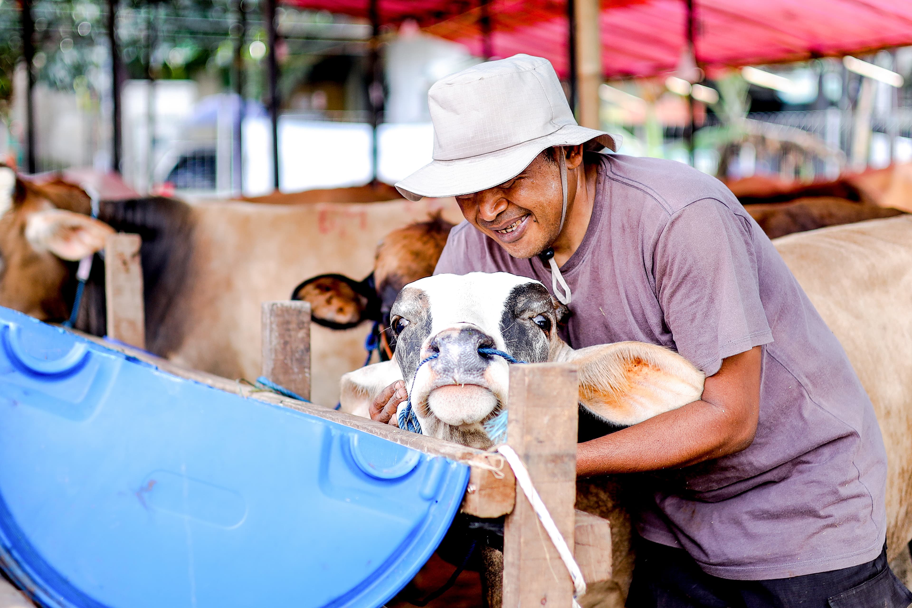 Krishivet veterinary products